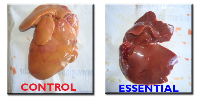 Essential_before_after